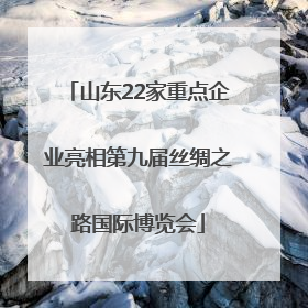 山东22家重点企业亮相第九届丝绸之路国际博览会