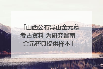 山西公布浮山金元墓考古资料 为研究晋南金元葬具提供样本