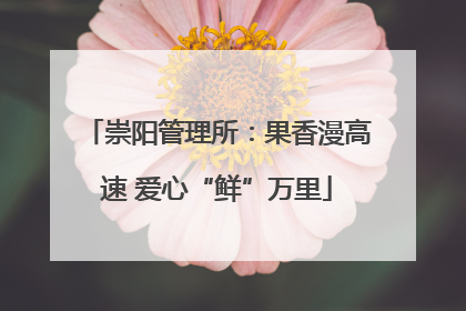 崇阳管理所：果香漫高速 爱心“鲜”万里