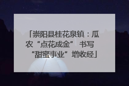 崇阳县桂花泉镇：瓜农“点花成金” 书写“甜蜜事业”增收经