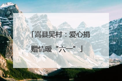 嵩县吴村：爱心捐赠情暖“六一”