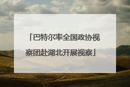 巴特尔率全国政协视察团赴湖北开展视察