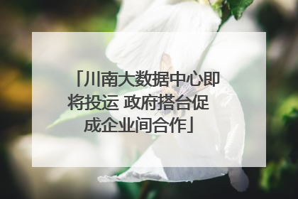川南大数据中心即将投运 政府搭台促成企业间合作
