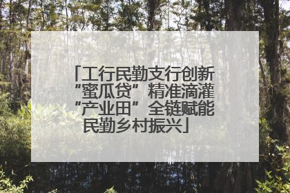 工行民勤支行创新“蜜瓜贷”精准滴灌“产业田”全链赋能民勤乡村振兴