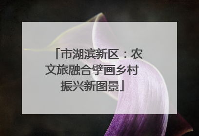 市湖滨新区：农文旅融合擘画乡村振兴新图景