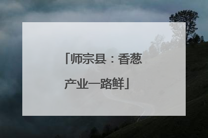 师宗县：香葱产业一路鲜