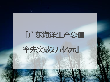 广东海洋生产总值率先突破2万亿元
