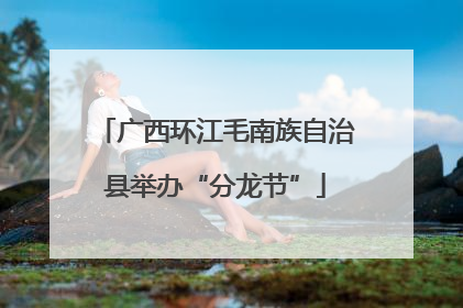 广西环江毛南族自治县举办“分龙节”