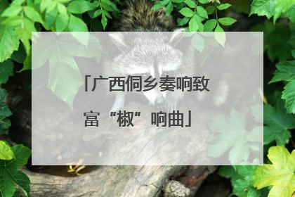 广西侗乡奏响致富“椒”响曲