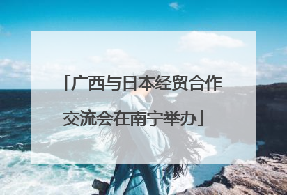 广西与日本经贸合作交流会在南宁举办