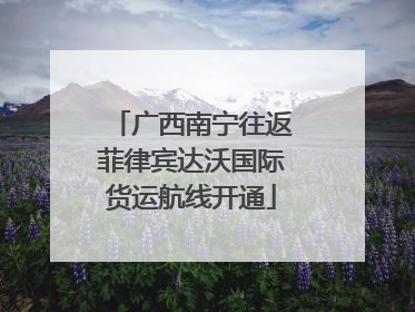 广西南宁往返菲律宾达沃国际货运航线开通
