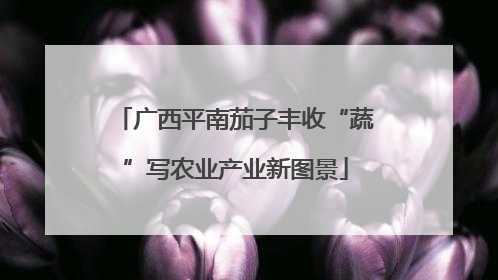 广西平南茄子丰收“蔬”写农业产业新图景