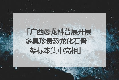 广西恐龙科普展开展 多具珍贵恐龙化石骨架标本集中亮相