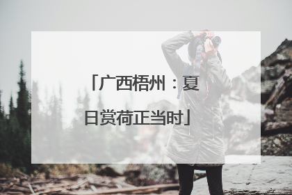 广西梧州：夏日赏荷正当时