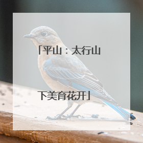 平山：太行山下美育花开