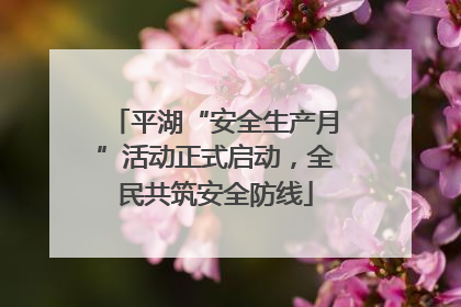 平湖“安全生产月”活动正式启动，全民共筑安全防线