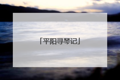 平阳寻琴记