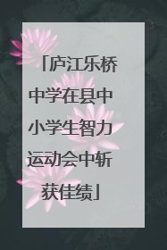 庐江乐桥中学在县中小学生智力运动会中斩获佳绩