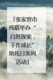 张家界市残联举办“自然探索，手作成长”助残日系列活动