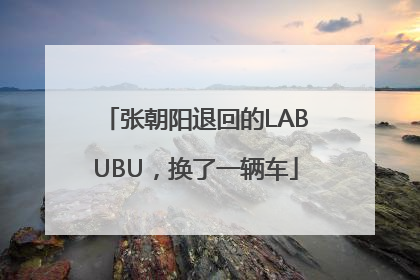 张朝阳退回的LABUBU，换了一辆车