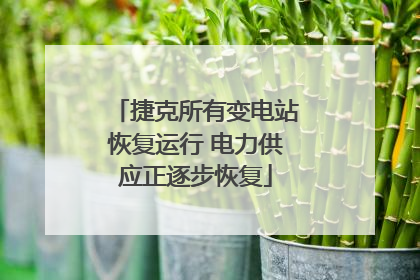 捷克所有变电站恢复运行 电力供应正逐步恢复