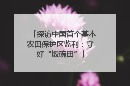 探访中国首个基本农田保护区监利：守好“饭碗田”