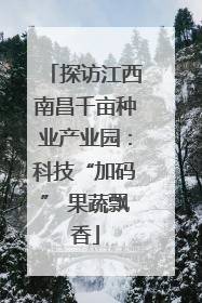 探访江西南昌千亩种业产业园：科技“加码” 果蔬飘香