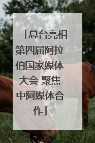 总台亮相第四届阿拉伯国家媒体大会 聚焦中阿媒体合作