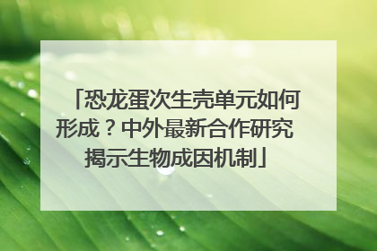恐龙蛋次生壳单元如何形成？中外最新合作研究揭示生物成因机制