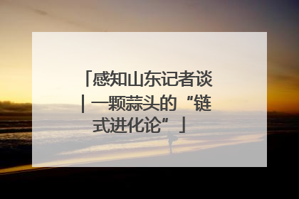 感知山东记者谈｜一颗蒜头的“链式进化论”