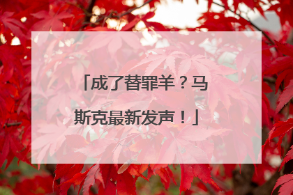 成了替罪羊？马斯克最新发声！