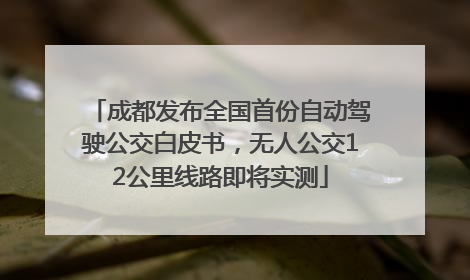 成都发布全国首份自动驾驶公交白皮书，无人公交12公里线路即将实测