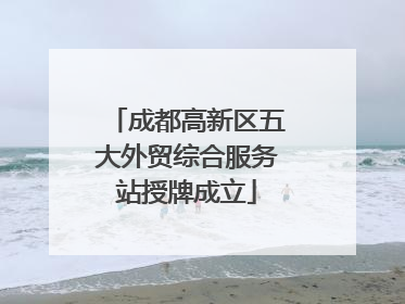 成都高新区五大外贸综合服务站授牌成立