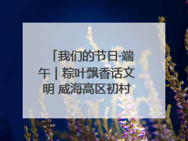 我们的节日·端午｜粽叶飘香话文明 威海高区初村镇端午系列活动亮点纷呈