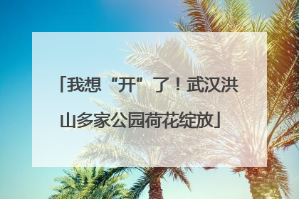 我想“开”了！武汉洪山多家公园荷花绽放