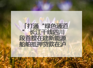 打通“绿色通道” 长江干线四川段首艘在建新能源船舶抵押贷款在泸州落地