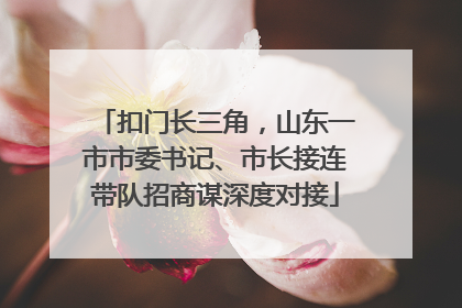 扣门长三角，山东一市市委书记、市长接连带队招商谋深度对接