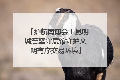 护航南博会！昆明城管坚守展馆守护文明有序交易环境