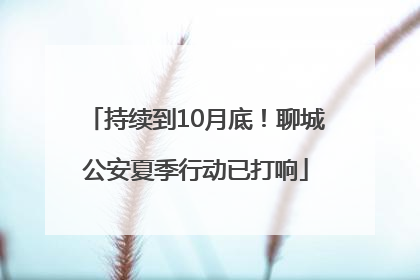 持续到10月底！聊城公安夏季行动已打响