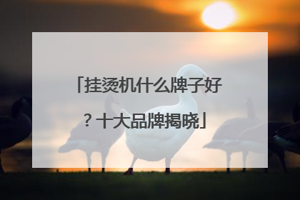 挂烫机什么牌子好？十大品牌揭晓