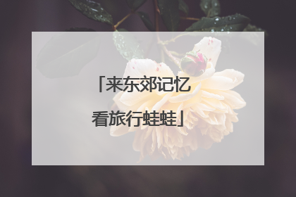 来东郊记忆 看旅行蛙蛙
