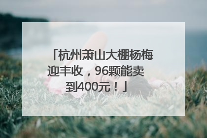 杭州萧山大棚杨梅迎丰收，96颗能卖到400元！