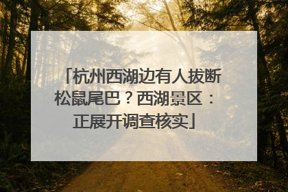 杭州西湖边有人拔断松鼠尾巴？西湖景区：正展开调查核实