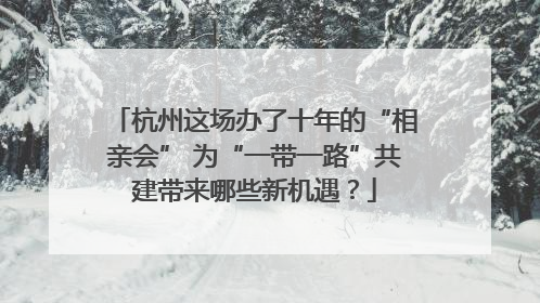 杭州这场办了十年的“相亲会” 为“一带一路”共建带来哪些新机遇？