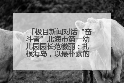 极目新闻对话“奋斗者”北海市第一幼儿园园长范徽丽：扎根海岛，以最朴素的爱践行教育的梦想