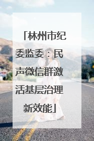 林州市纪委监委：民声微信群激活基层治理新效能