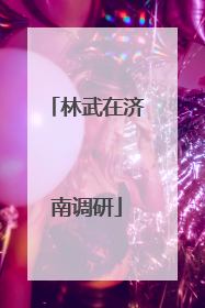 林武在济南调研