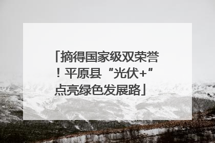 摘得国家级双荣誉！平原县“光伏+”点亮绿色发展路