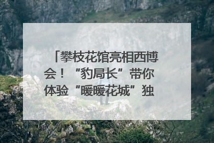 攀枝花馆亮相西博会！“豹局长”带你体验“暖暖花城”独特魅力｜西博视界