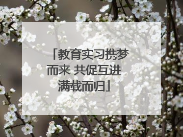 教育实习携梦而来 共促互进满载而归
